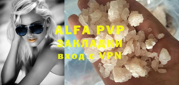 PSILOCYBIN Гвардейск