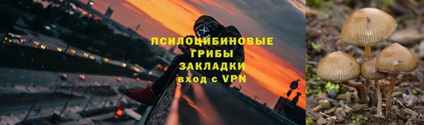 2c-b Абаза
