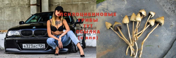 каннабис Абинск