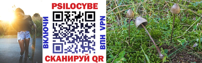 Псилоцибиновые грибы мухоморы Зеленодольск